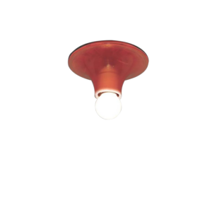 Teti Transparent Orange