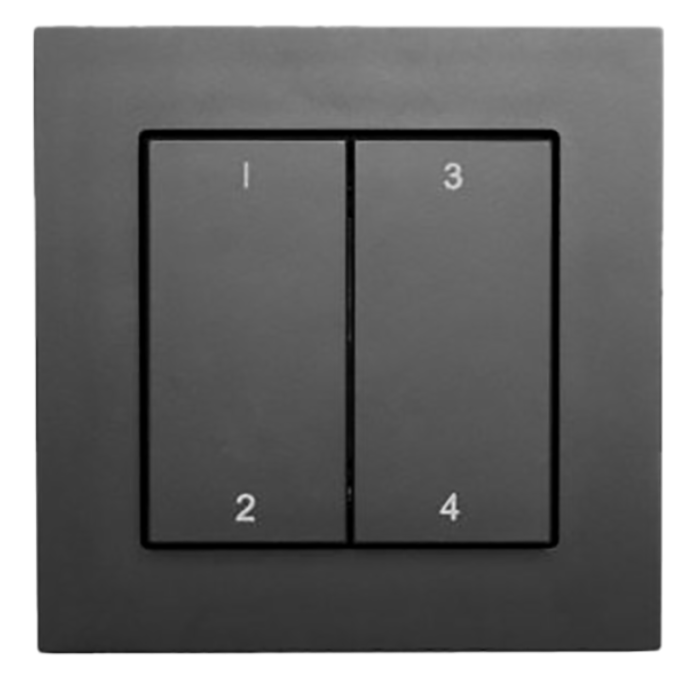 CBU Switch 55 anthracite matt 2-way rocker 4 channel numbers