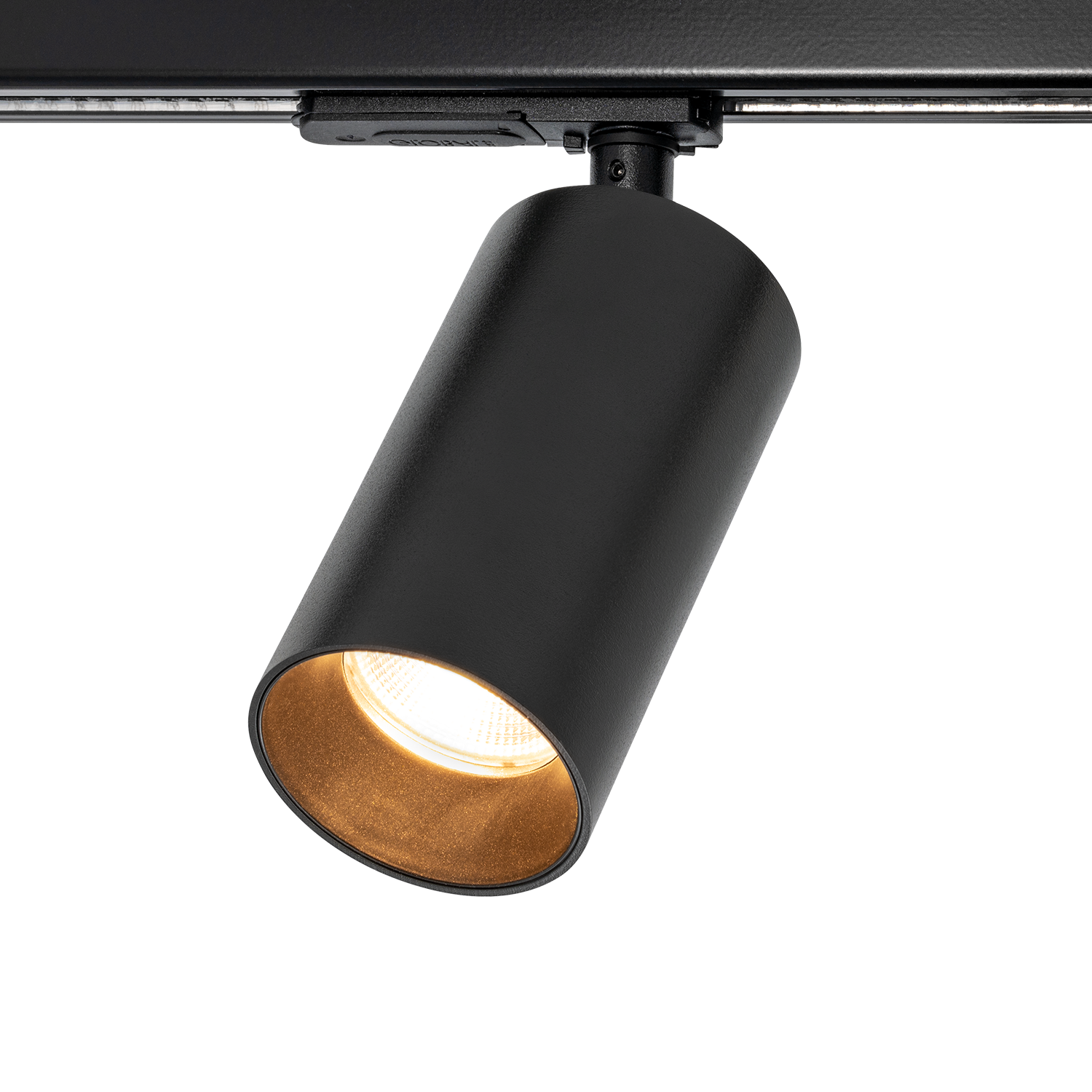 Tania Mini 1-Circuit - Bilde 4