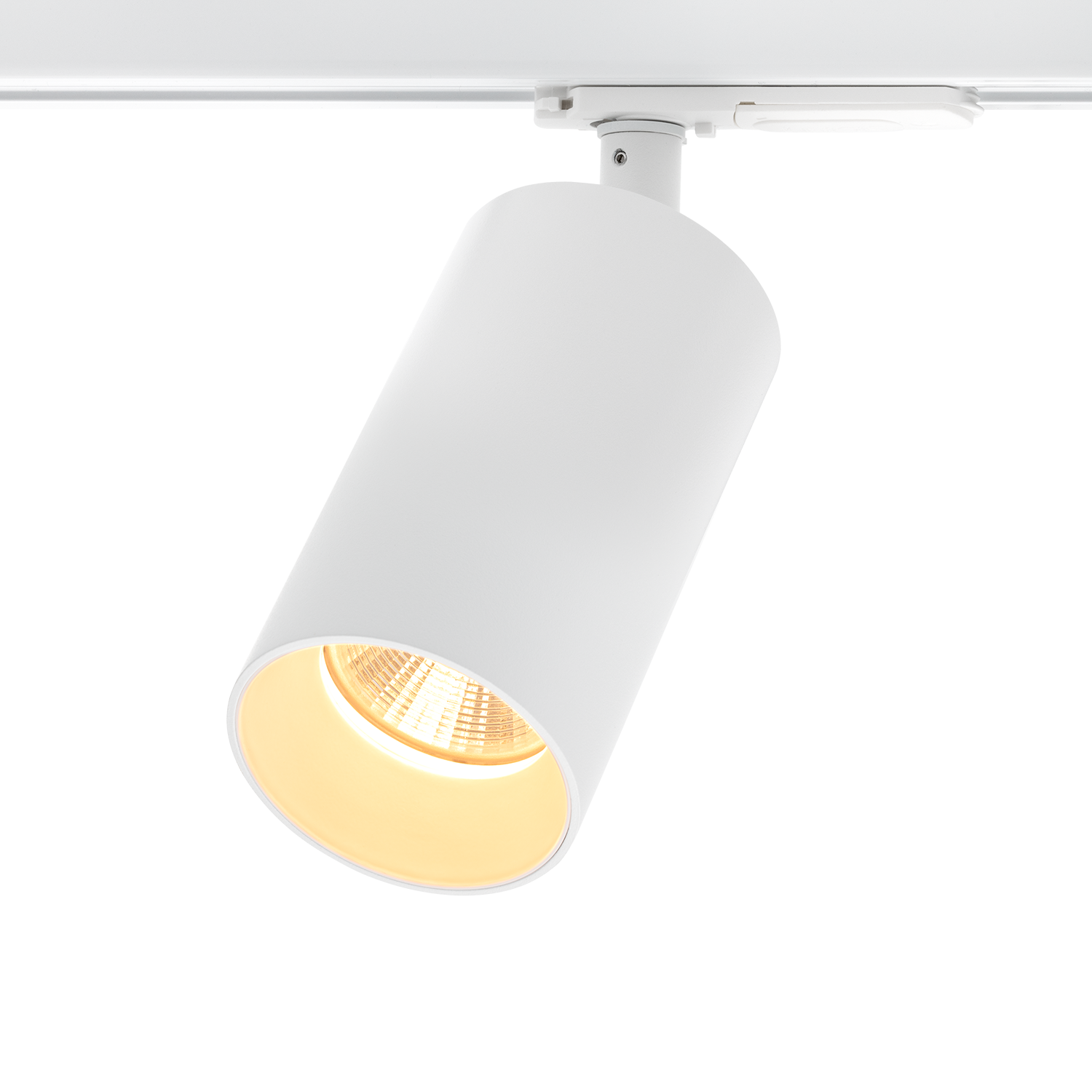 Tania Mini 1-Circuit - Bilde 3