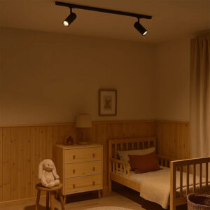 Cylinder 60 Spotskinnepakke X2, 1M, Dim-to-Warm, sort