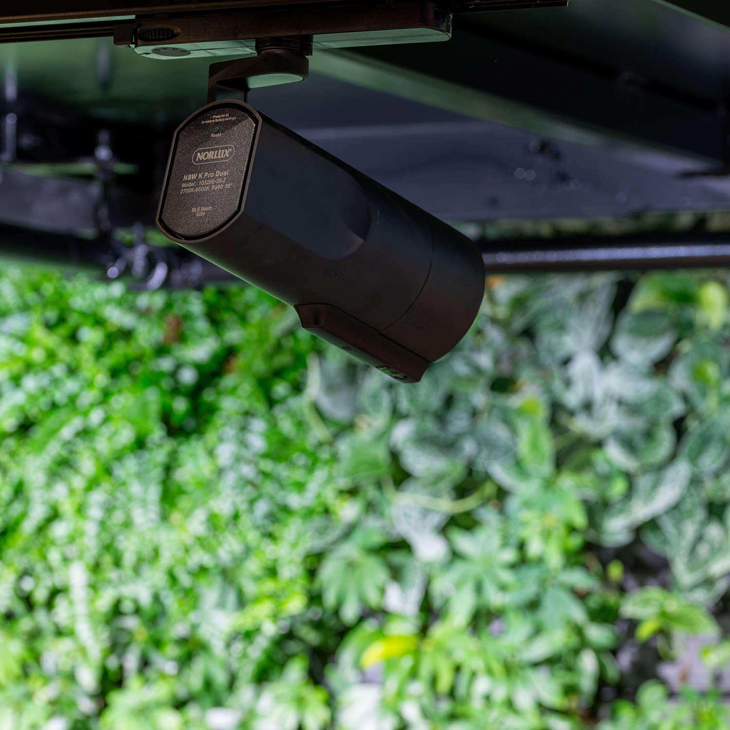 NSW K Pro Dual AIColor+People Counting 35W 36° 3-Cir BK - Bilde 3