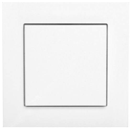 CBU Switch 55 White 1-way rocker 2-channel